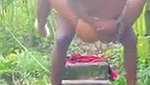 Desi Aunty Fucked in Forest