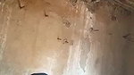 Paki granny fucking by young