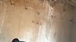 Paki granny fucking by young