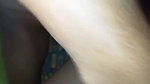 Desi couple fucking