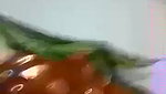 Unsatisfied Bhabi Showing And Fingering