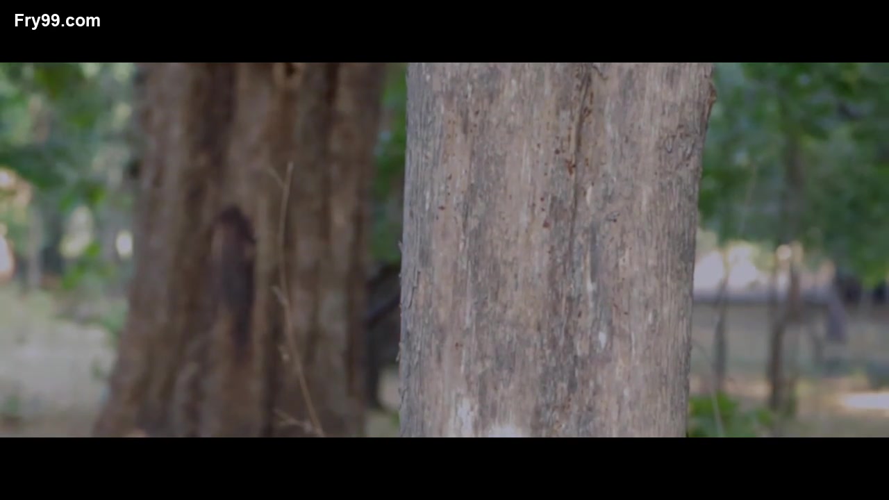 Frame 10