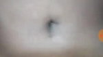 South bhabhi vc nude hot mms vid