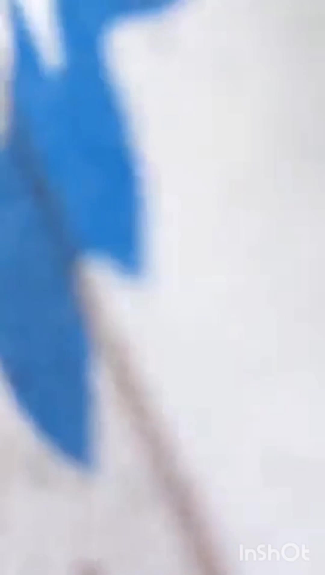 Frame 10