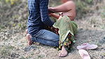 Indian Desi Village Girl Fucked for Gift in Jungle, Outdoor Jungal Sex Hindi Audio HD