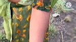 Village Bhabhi Fucked by Daver Outdoor in the Jungle