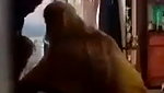Desi village bhabi spy video