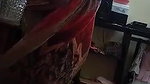 Bengali sasur bahu fucking