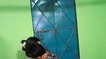 Hot couples in hidden cam hot sex