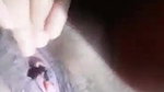 Horny Bangla Village Girl Showing And Fingering