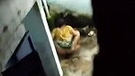bhabhi pissing in bathroom at night captured