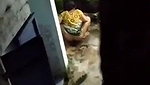 bhabhi pissing in bathroom at night captured