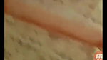video_2025-06-23_12-36-54