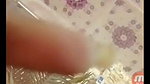 video_2025-06-23_12-36-54