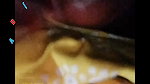 video_2025-06-23_12-36-39