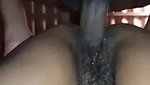 Hairy pussy fuckin hard