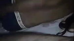 Horny Bd Girl Showing And Sucking