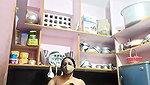 Stripchat-Public.Show-c-Sexynageena-2025.01.11.195057
