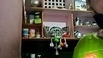 Stripchat-Public.Show-c-Sexynageena-2025.03.12.204022