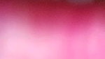 Stripchat-Public.Show-c-Sexynageena-2025.03.14.203322