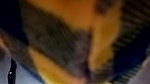 Stripchat-Public.Show-c-Sexynageena-2025.04.08.182317