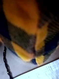 Stripchat-Public.Show-c-Sexynageena-2025.04.08.182317