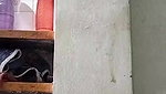 Stripchat-Public.Show-c-Sexynageena-2025.04.13.014040