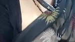 Stripchat-Public.Show-c-Sexynageena-2025.05.19.182301
