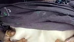 Stripchat-Public.Show-c-Sexynageena-2025.06.15.023018