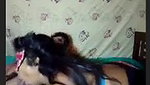 Sassy Baby on Stripchat Live BJ to Lover