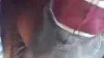 Desi village bhabi fucking quick