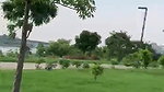 Blowjob in park
