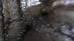 Village bhabi enjoy big dick