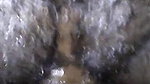 Village bhabi enjoy big dick