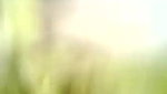 Cute girl old clip