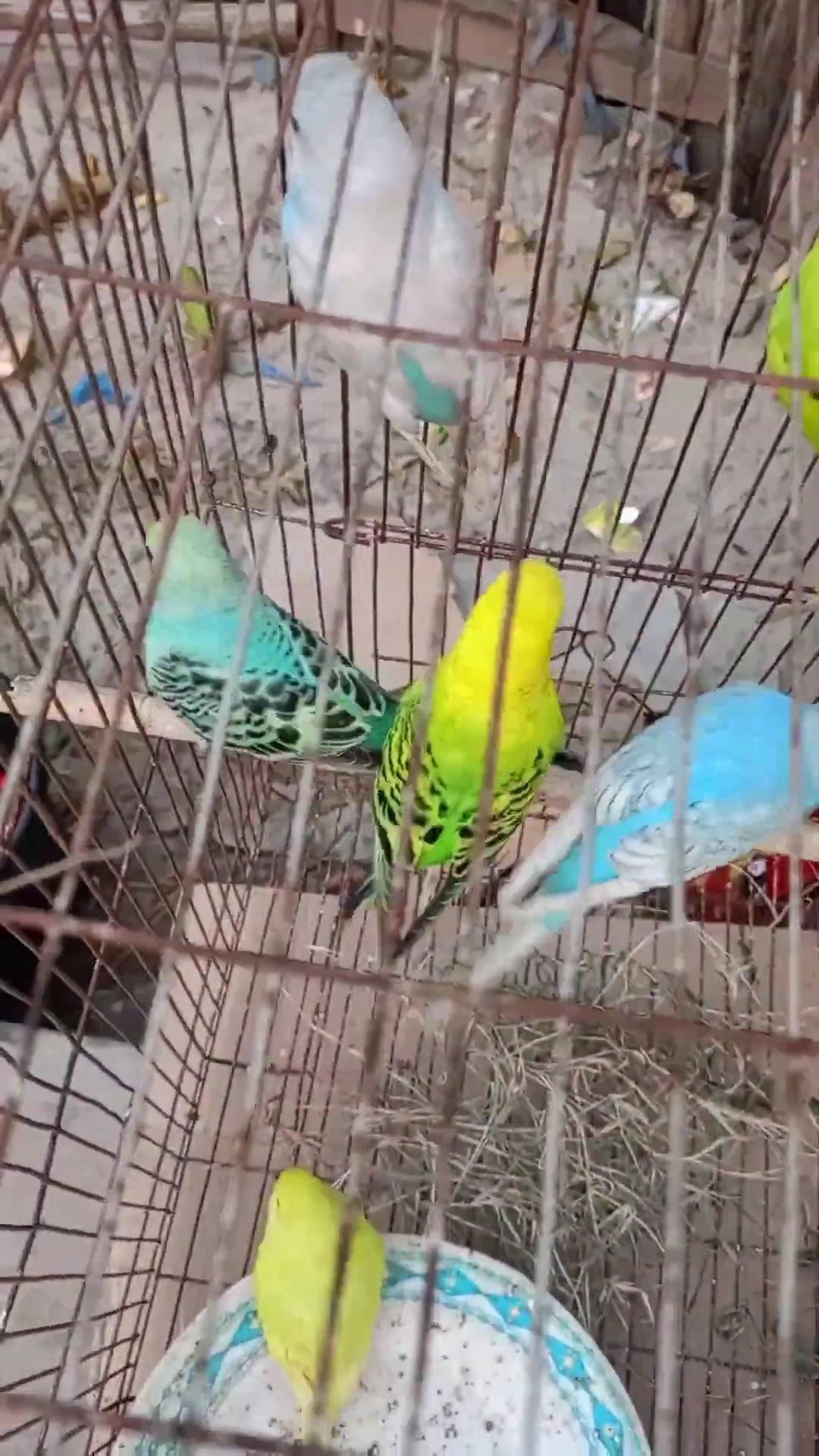 Frame 10