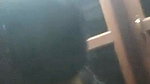 Newly-married couple foreplay sex on cam