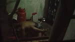 Couple Fucking Secretly captured