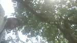 Couple outdoor having