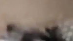 BD Girl Hard Fuck with Loudmoaning