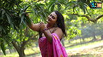High Fashion Saree Shoot Outdoor Saree Fashion Shoot Bong Beauty Model POULOMI