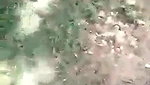 Desi Bhabhi Out Door Fucked
