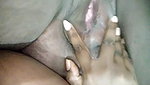Desi fatty aunty show her sexy  pussy