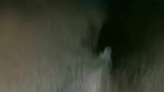 STRIPCHAT Pooja Tango private