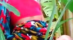 Roted,Bengali village wife quck fucking with devar