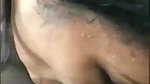 Beautiful Girl Blowjob