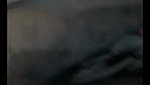Tamil Aunty Tango Prvt Nude Show