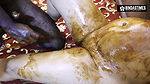 Desi chocolaty Bhabhi Fucks again with Two Black Boys (Hindi Audio)