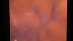 Bigboob Girl 9 Clip-Merged