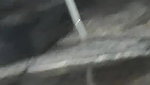 Desi village bhabi hot pee